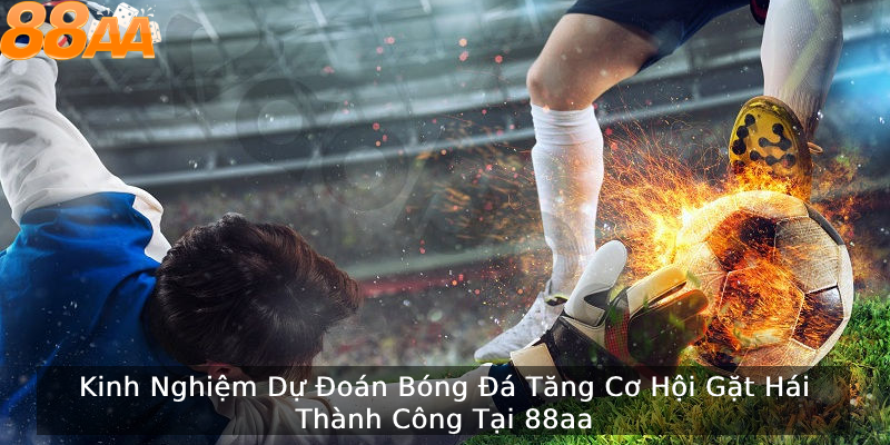 Tại sao mọi người lại thường thua?