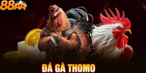 Tổng quan về đá gà Thomo 88aa – Sức hút và tiềm năng của trò chơi