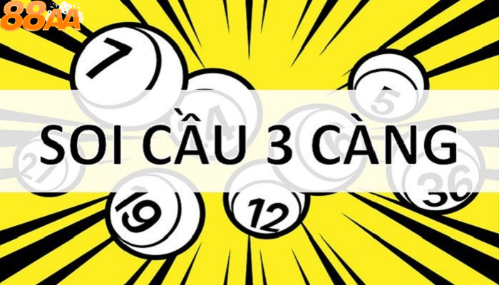 Số 3 càng là gì?